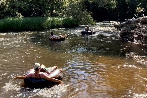 Watertube Experience In Yarra River - Accommodation Port Macquarie 8