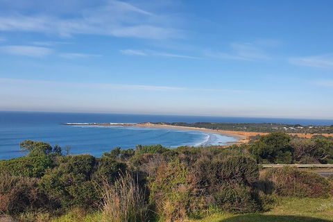 Private Great Ocean Road And Chocolaterie Tour With Tasting - Accommodation Port Macquarie 5