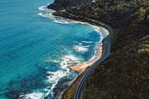 Private Great Ocean Road And Chocolaterie Tour With Tasting - Accommodation Port Macquarie 6