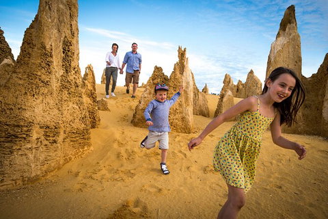 Full-Day Pinnacles Desert And Yanchep National Park Tour From Perth - Accommodation Port Macquarie 6