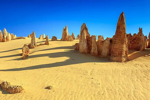 Full-Day Pinnacles Desert And Yanchep National Park Tour From Perth - Accommodation Port Macquarie 0