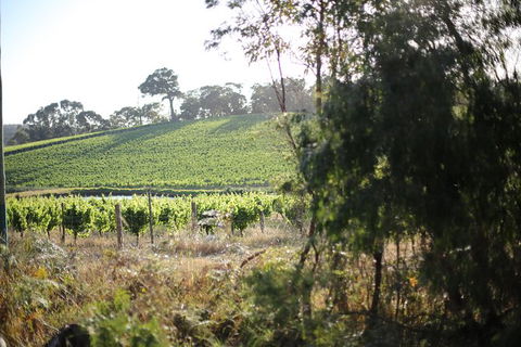 All Inclusive Surf Camp In Margaret River Region - Accommodation Port Macquarie 3