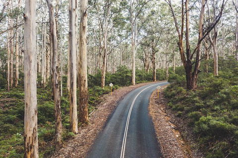 All Inclusive Surf Camp In Margaret River Region - Accommodation Port Macquarie 2