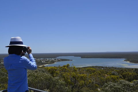 Full-Day Killer Whale Expedition From Albany - Accommodation Port Macquarie 5