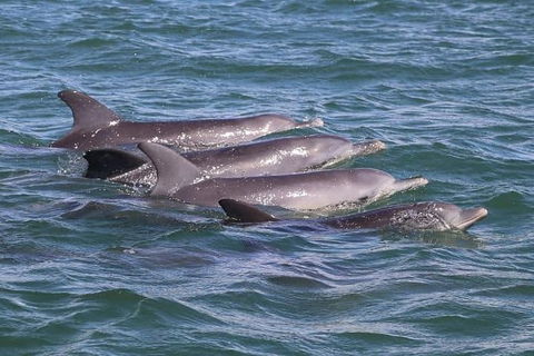 Romance Cruise + Scenic Tour + Beer Tasting + 3 Course Lunch + Hamper - Accommodation Port Macquarie 7