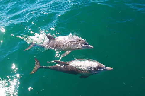 Sailing Kayak Adventure Through The Peel Harvey Estuary - Accommodation Port Macquarie 1