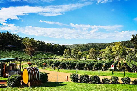 Bickley Valley Wine & Cider Tour - Premium Small Group Tour - Accommodation Port Macquarie 0