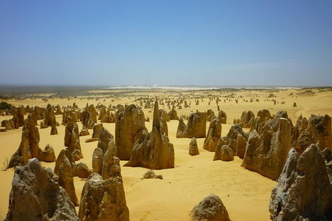 Pinnacles Desert Private Tour - Accommodation Port Macquarie 5