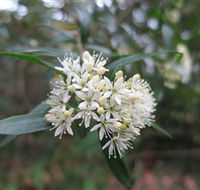 Booderee National Park - Accommodation Port Macquarie