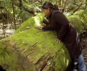  Accommodation Port Macquarie