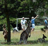 Glen Innes Golf Club - Accommodation Port Macquarie