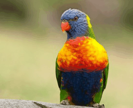 Booderee National Park - Accommodation Port Macquarie 1