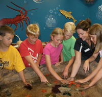 Naturaliste Marine Discovery Centre - Accommodation Port Macquarie