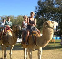 Calamunnda Camel Farm - Accommodation Port Macquarie