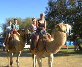 Calamunnda Camel Farm - Accommodation Port Macquarie 0