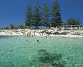 Rottnest Island - Accommodation Port Macquarie 0