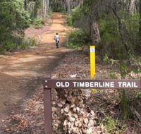 Old Timberline and Sidings Rail Trails - Accommodation Port Macquarie