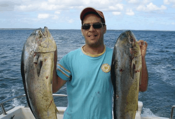 Jervis Bay Fishing and Charters - Accommodation Port Macquarie