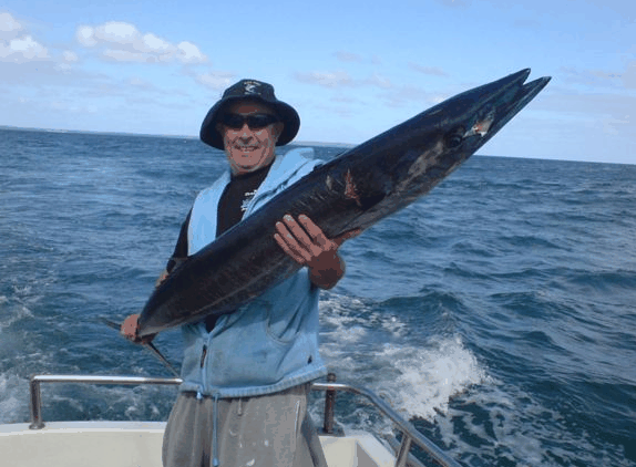 Jervis Bay Fishing And Charters - Accommodation Port Macquarie 4