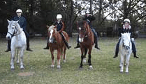 Valhalla Horse Riding - Accommodation Port Macquarie 1