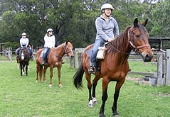Valhalla Horse Riding - Accommodation Port Macquarie 2