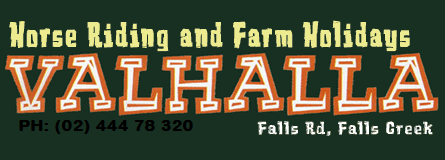 Valhalla Horse Riding - Accommodation Port Macquarie 4