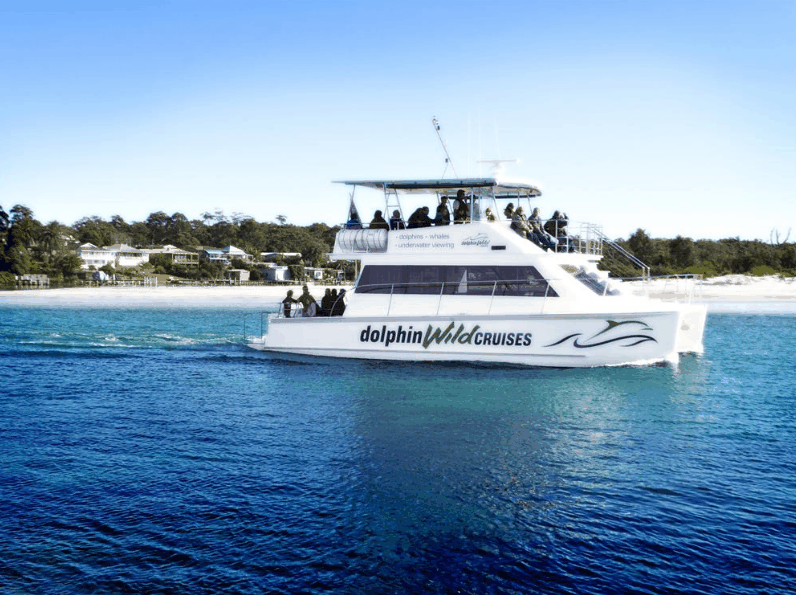 Dolphin Wild Cruises - Accommodation Port Macquarie 1