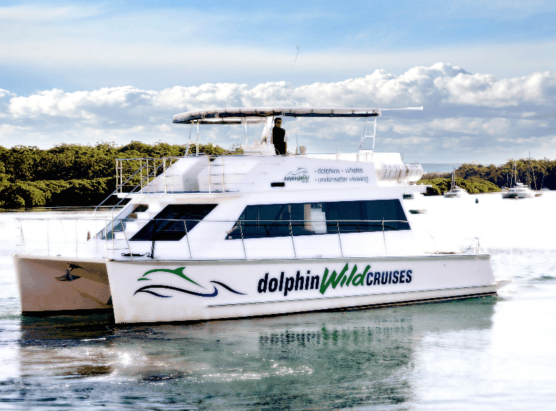 Dolphin Wild Cruises - Accommodation Port Macquarie 2