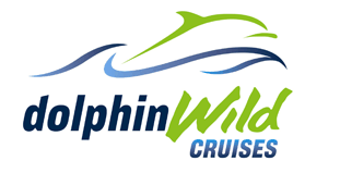 Dolphin Wild Cruises - Accommodation Port Macquarie 4
