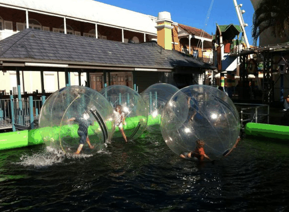 Aussie Waterballs - Accommodation Port Macquarie 0