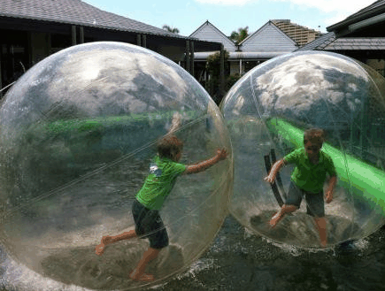 Aussie Waterballs - Accommodation Port Macquarie 1