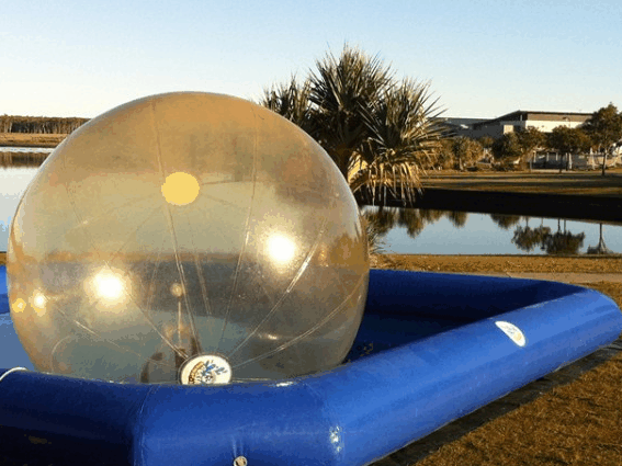 Aussie Waterballs - Accommodation Port Macquarie 3