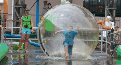 Aussie Waterballs - Accommodation Port Macquarie 4
