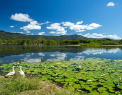 Blazing Saddles Adventures - Accommodation Port Macquarie 1