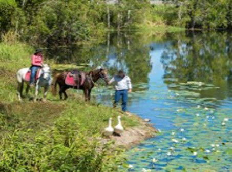 Blazing Saddles Adventures - Accommodation Port Macquarie 2