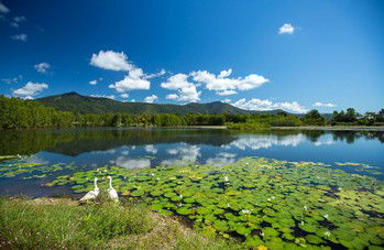 Blazing Saddles Adventures - Accommodation Port Macquarie 3
