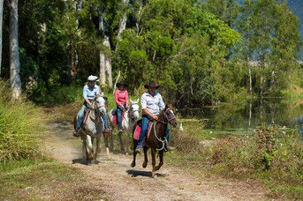 Blazing Saddles Adventures - Accommodation Port Macquarie 4