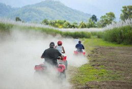 Blazing Saddles Adventures - Accommodation Port Macquarie 5