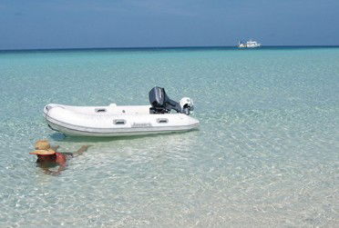 Adrenalin Snorkel And Dive - Accommodation Port Macquarie 4