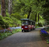 Araluen Botanic Park - Accommodation Port Macquarie
