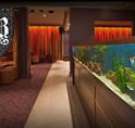 AB Hotel - Accommodation Port Macquarie