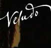 Veludo - Accommodation Port Macquarie