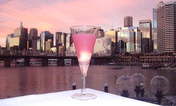 Cohibar - Accommodation Port Macquarie 0