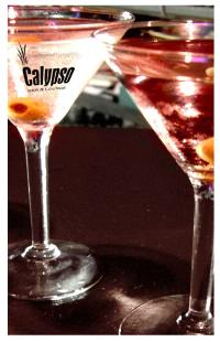 Calypso Bar And Lounge - Accommodation Port Macquarie 1