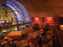 Cohibar - Accommodation Port Macquarie 1