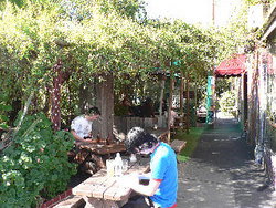 Blackcat - Accommodation Port Macquarie 3