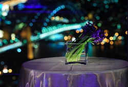 Summit - Orbit Lounge Bar - Accommodation Port Macquarie 3