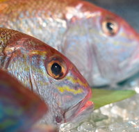 Coro Hotel - Lure Seafood Restaurant - Accommodation Port Macquarie