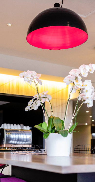 MRepublic Restaurant, Bar And Lounge - Accommodation Port Macquarie 4