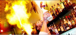 Universal Bar - Accommodation Port Macquarie 0